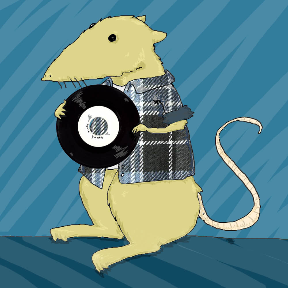 Mouse with flennel shirt and vinil | Record store day | illustraton by Tostoini